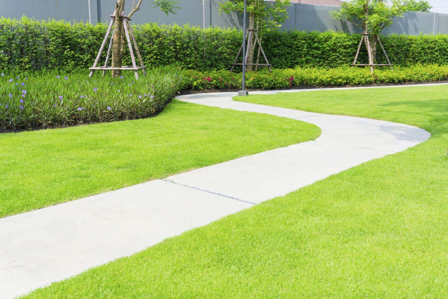  child looking at garden concrete 