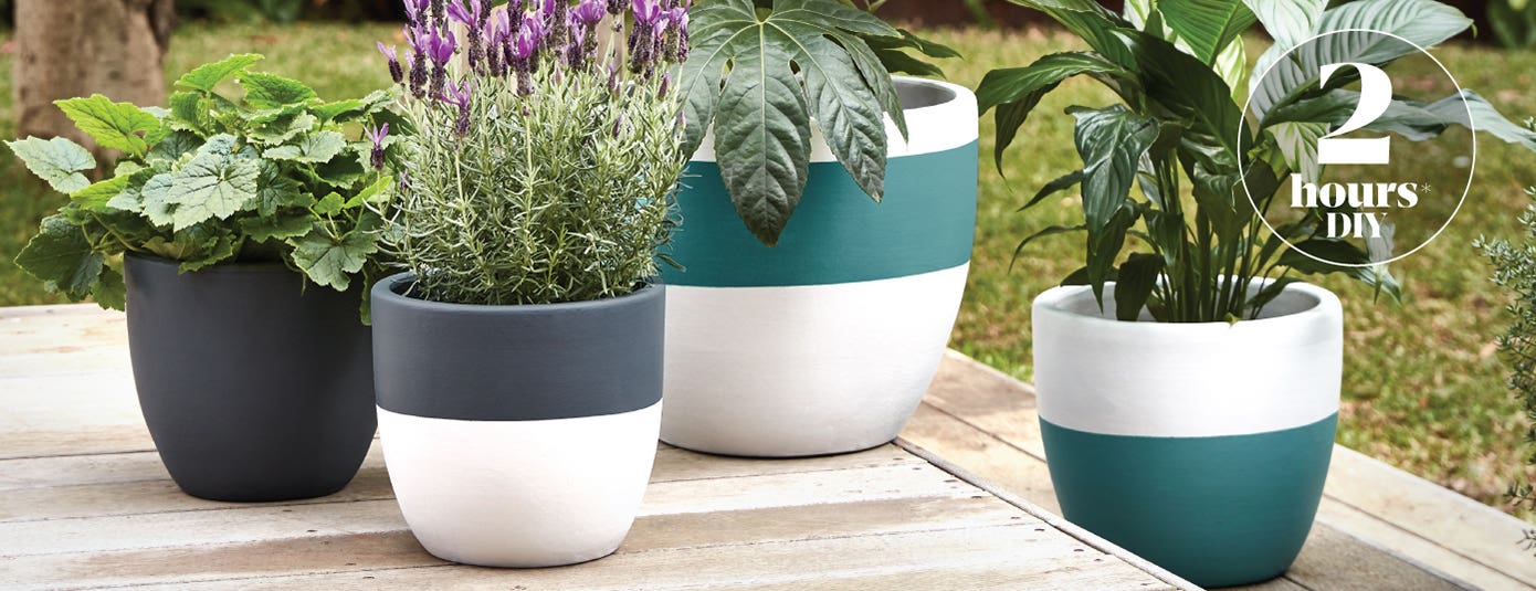  Accent Painted Pots 