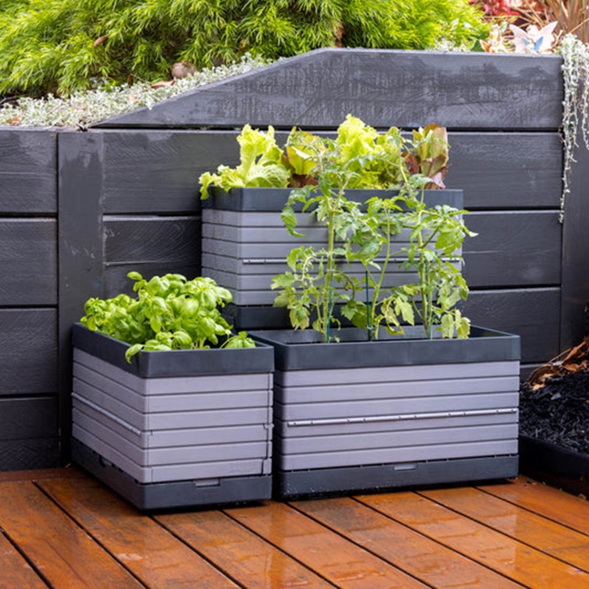 small garden space