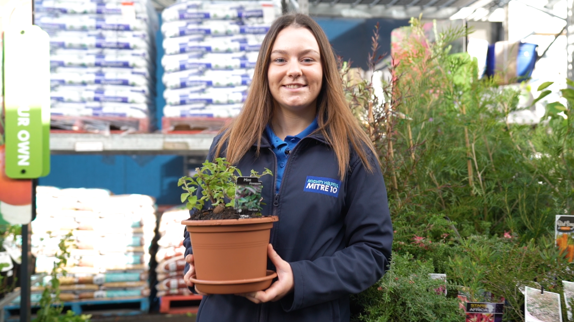 Planting and Growing Herbs