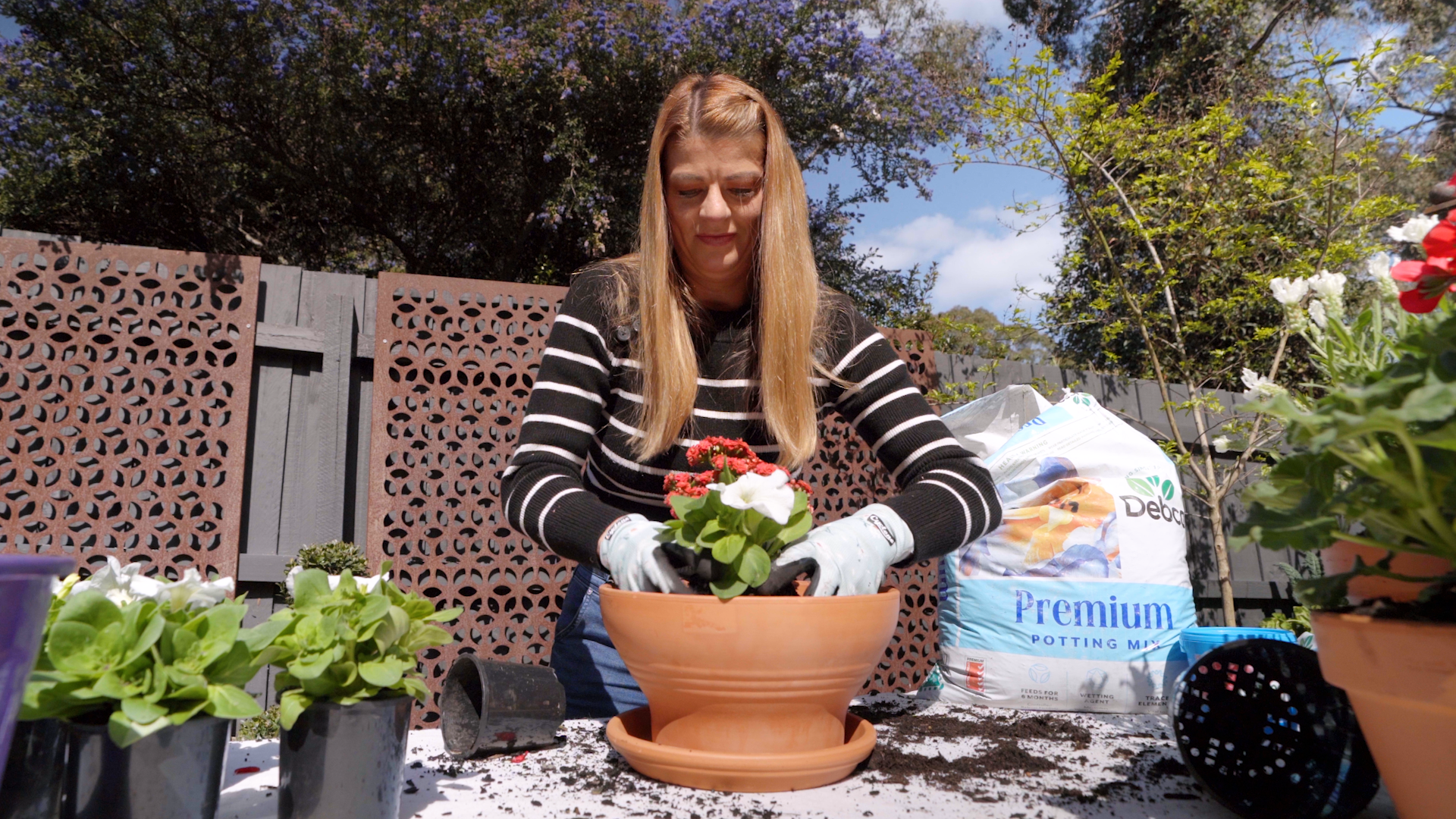 DIY Living Centrepiece for Your Garden Party with Melissa King