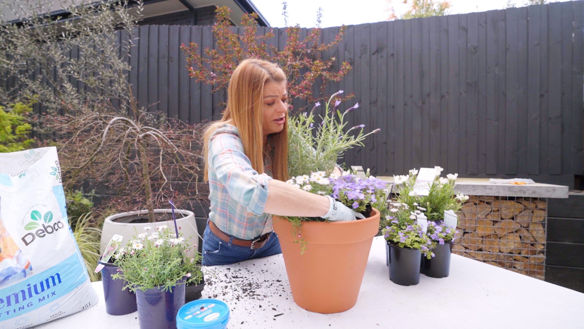 Create Stunning Potted Displays with Melissa King