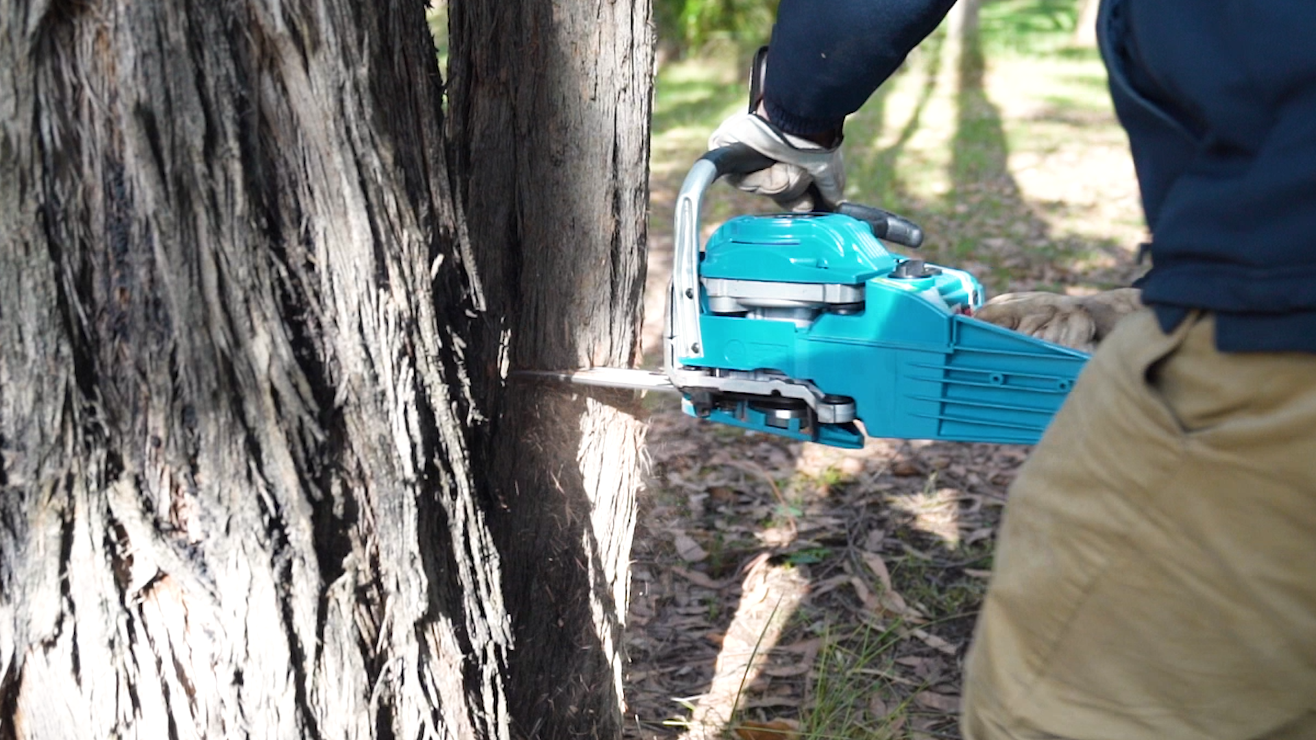  Chainsaw Safety  