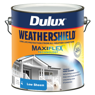 Exterior Paint