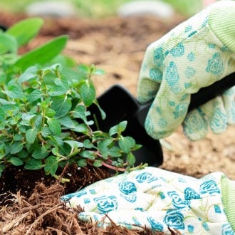 Gardening Tools