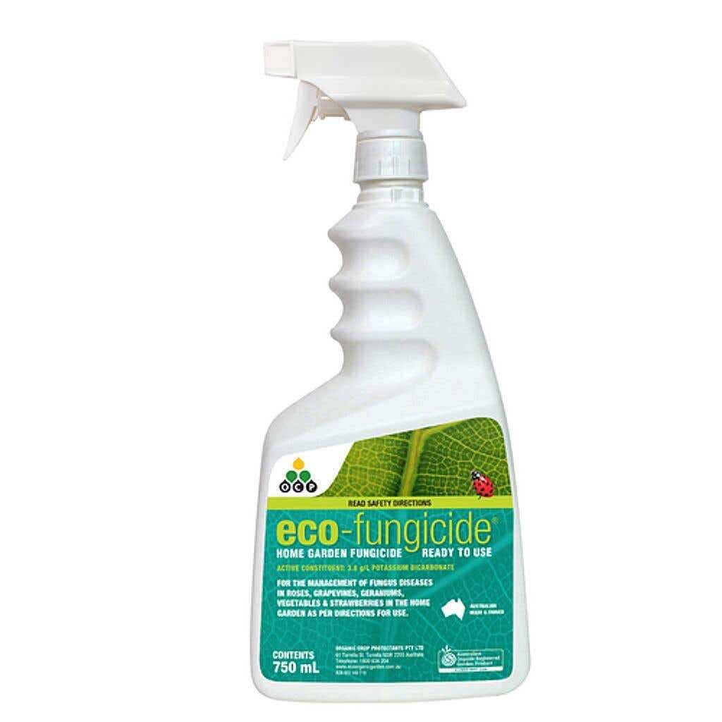 Fungicides