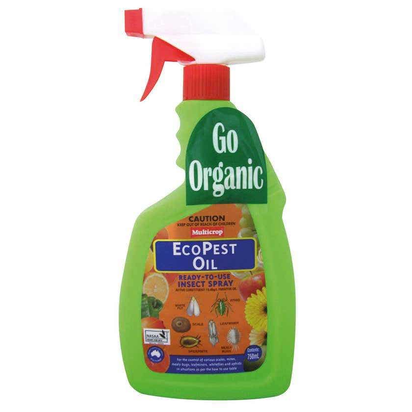 Insecticides