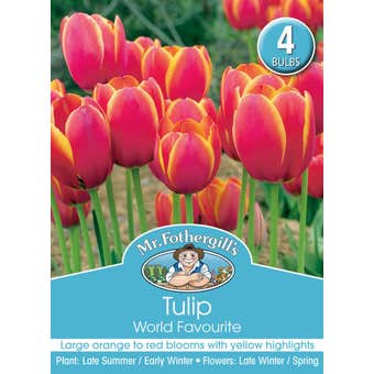 Mr Fothergill's Bulbs Tulip World Favourite 4 Bulbs