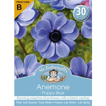 Mr Fothergill's Bulbs Anemone Poppy Blue 30 Bulbs