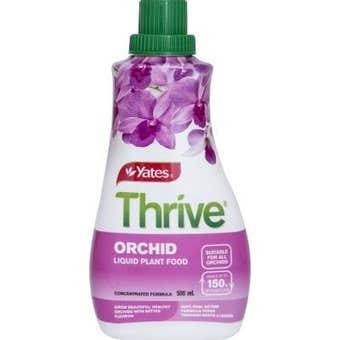 Yates Thrive Orchid Liquid Fertilizer 500ml