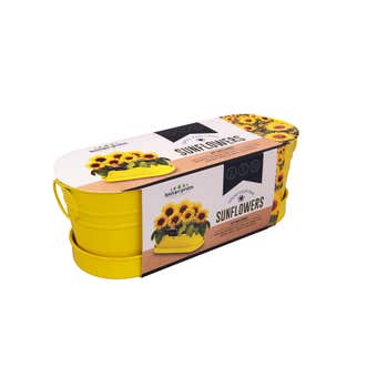 Grow Your Own Sunflower Windowsill Tin Kit