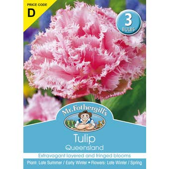Mr Fothergill's Bulbs Tulip Queensland 3 Bulbs