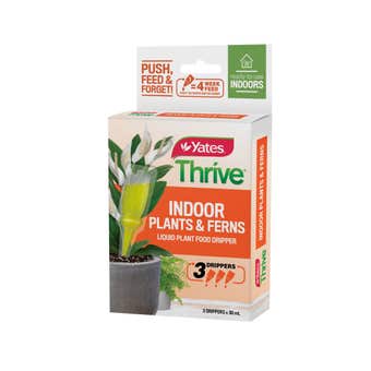 Yates Thrive Indoor Plants & Ferns Food Dripper - 3 Pack