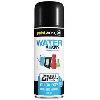 Paintworx Water-Based Gloss 300g