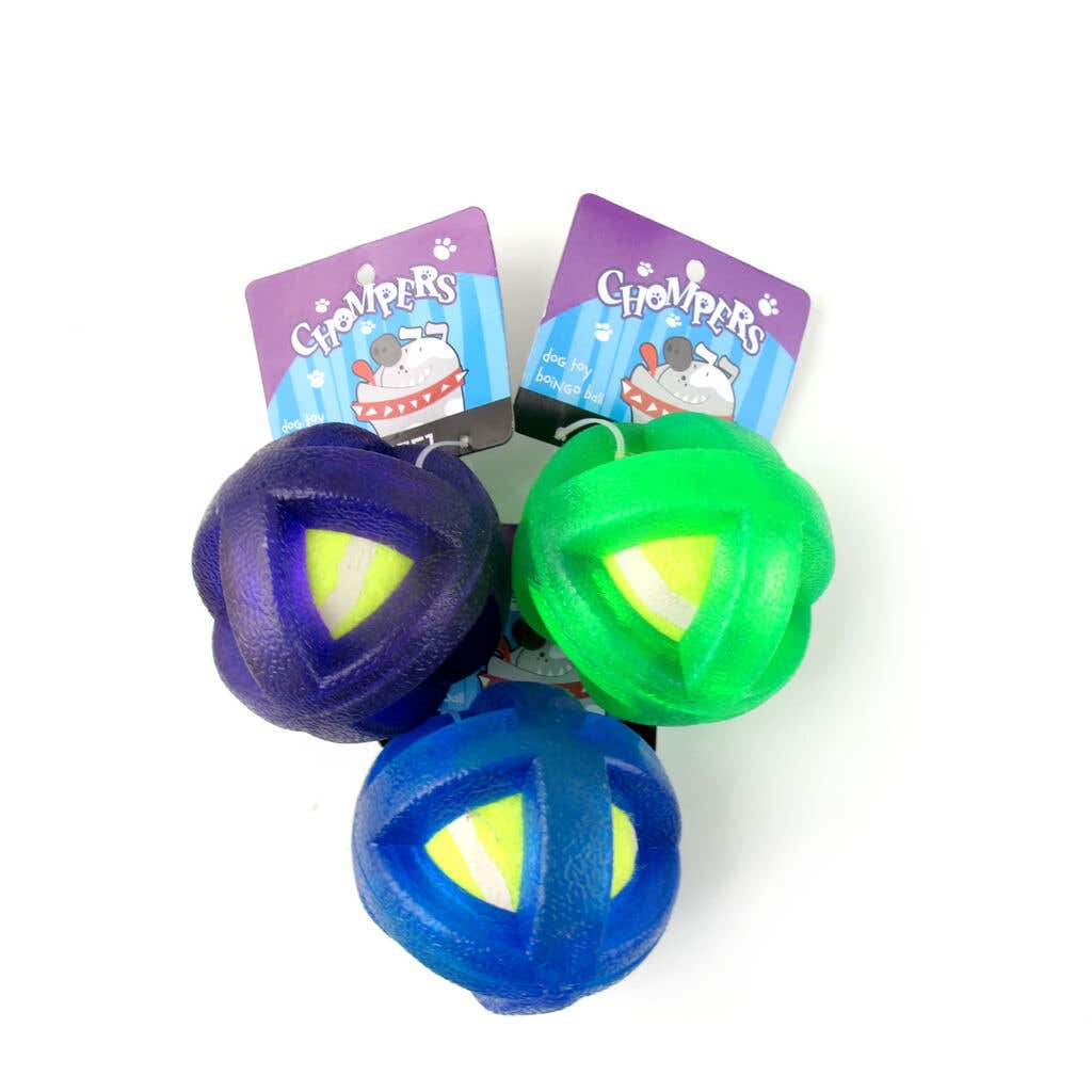 Boingo ball dog toy 2025