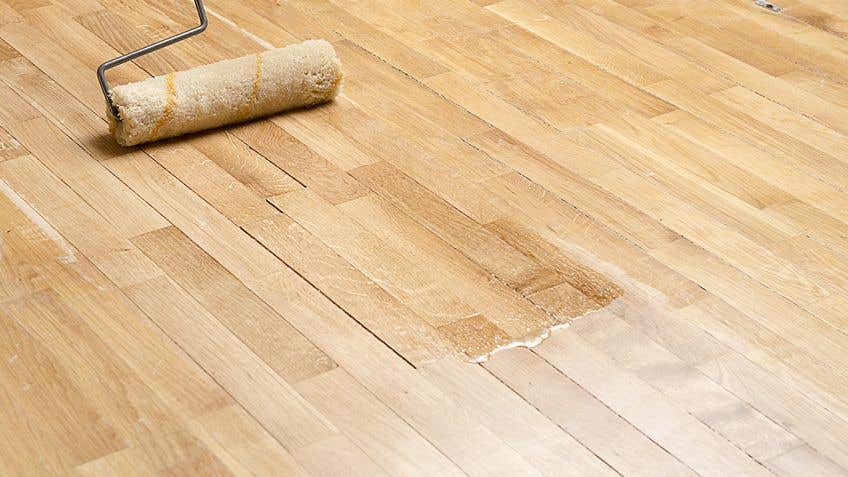 How To Do Your Own Floor Polishing And Preparation Mitre 10