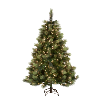 Shop Christmas Trees