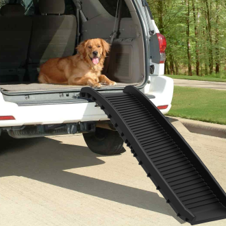 Christmas Gifts for Furry Friends