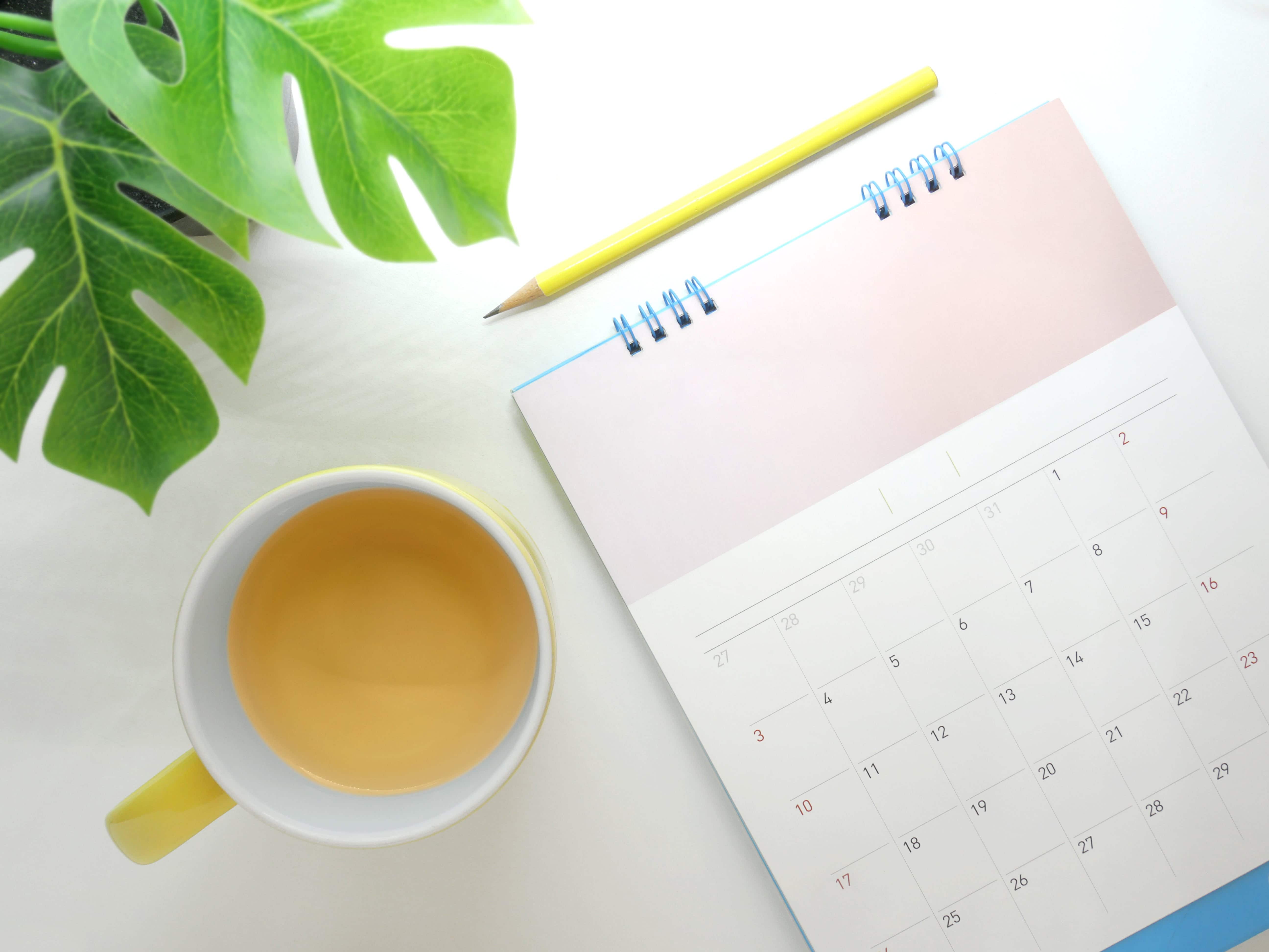 Planting Calendar with a plant on the side