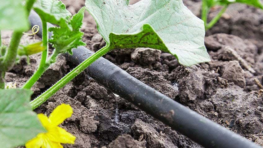  DIY garden watering system 