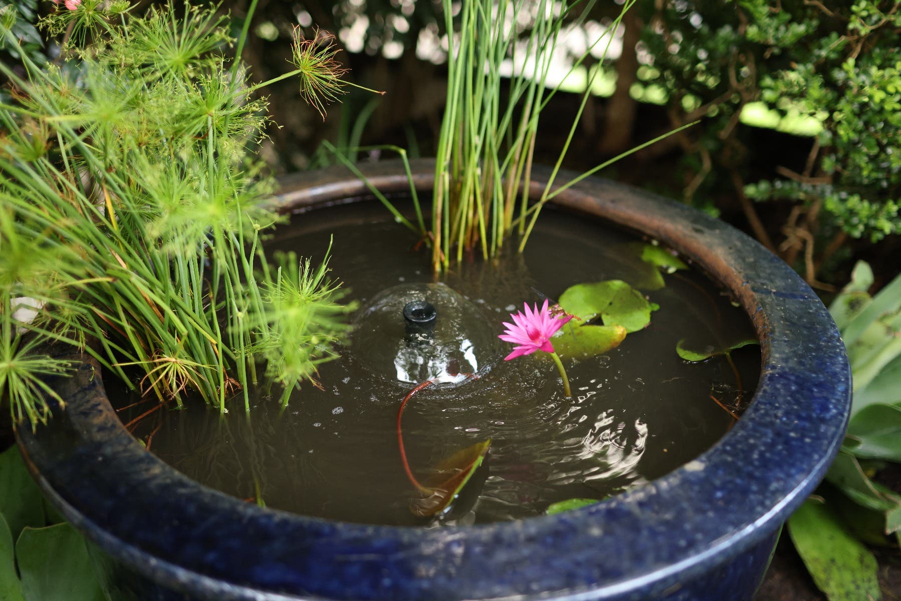  DIY water feature 