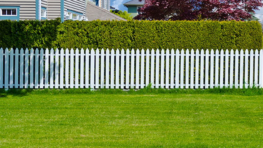  create outdoor privacy 