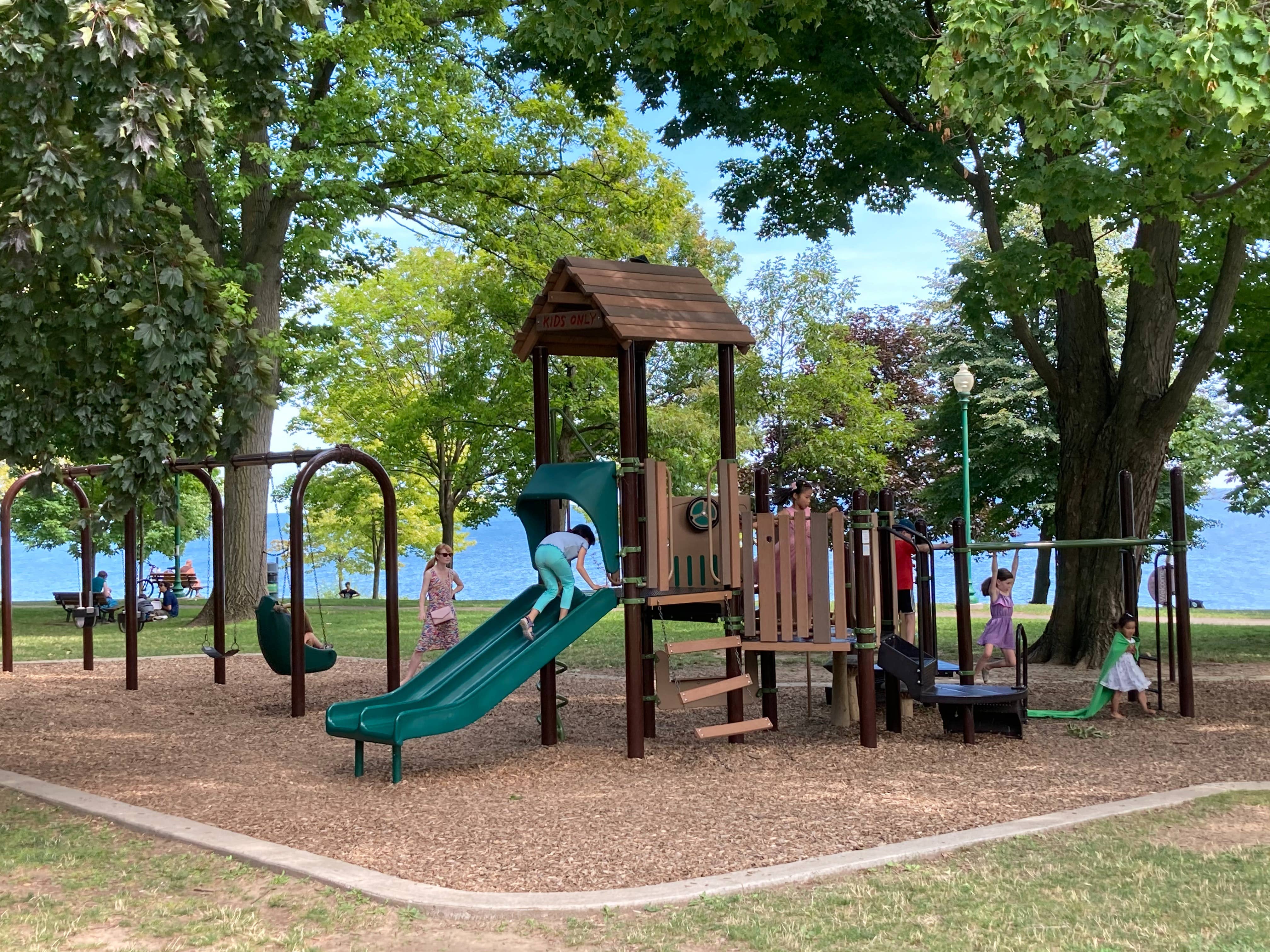 Children playing at timber play gym