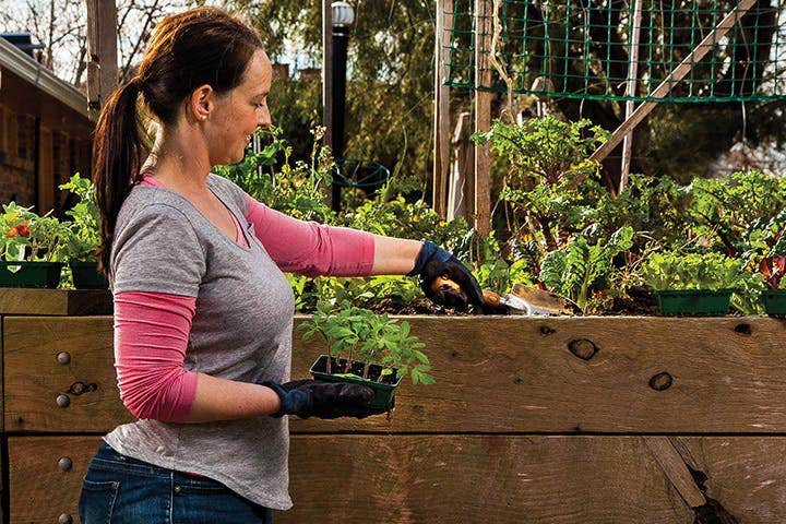  a woman walking by her vegetable garden 