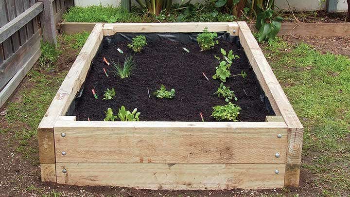 Build Your Vegetable Garden