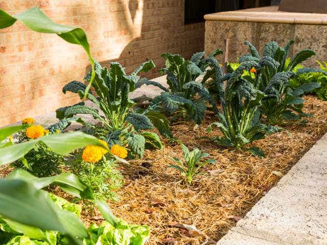 thinking of hiring a gardener?
